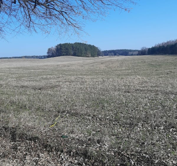 Źródła Łyny - Robert - 1