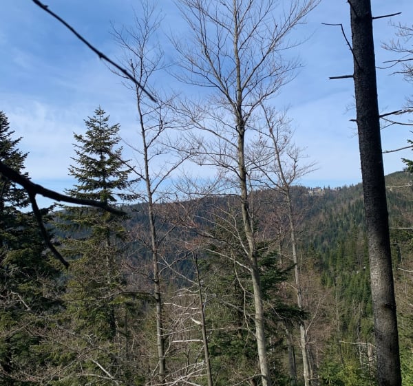Beskid Sądecki - Beata - 1