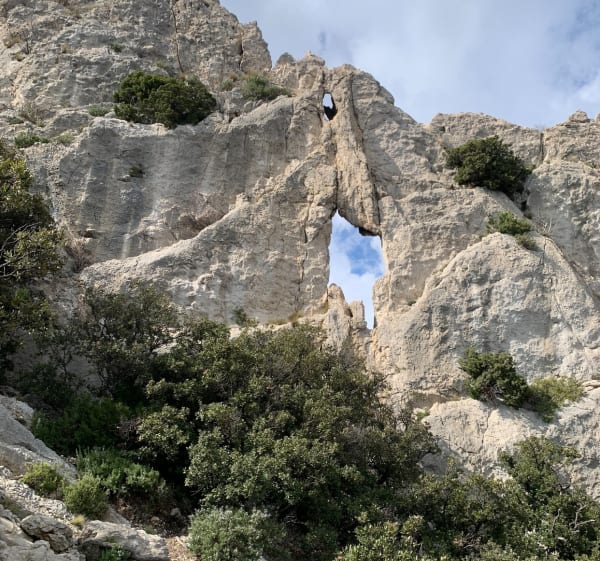 Sortie aux Dentelles de Montmirail - Daniel  - 1
