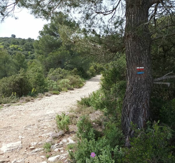 Boucle de Saint-Paul-lès-Durance, par Peycail - Saint-Paul-lès-Durance - 1