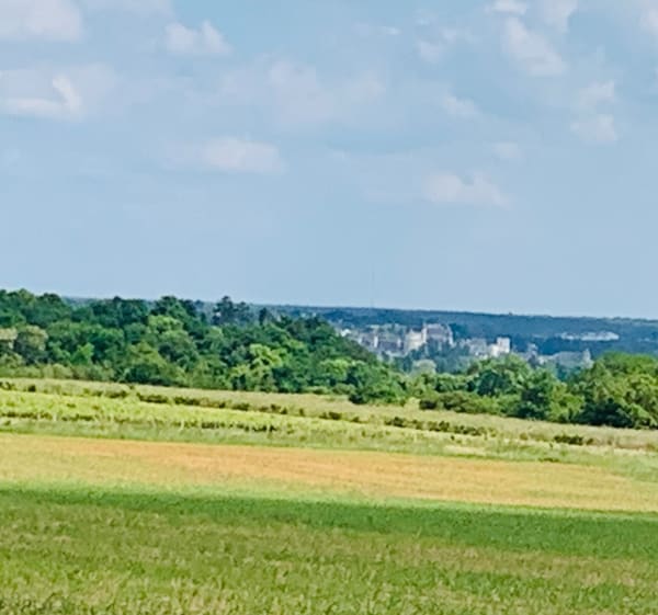 Petite balade sur le plateau de Nazelles-Négron - Mireille - 1