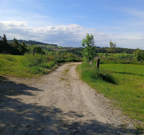 Balade sur le Haut Forez et col de Joanziecq - julien - 1