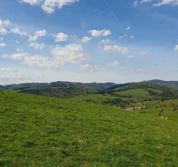 Do rezerwatu Zaskalskie-Bodnarówka - Katarzyna - 1
