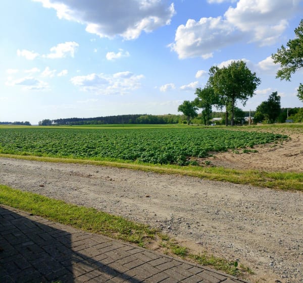 Jadę rowery - Misiek - 1