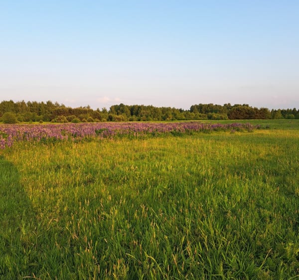 Trasa zielona - Sławomira - 1