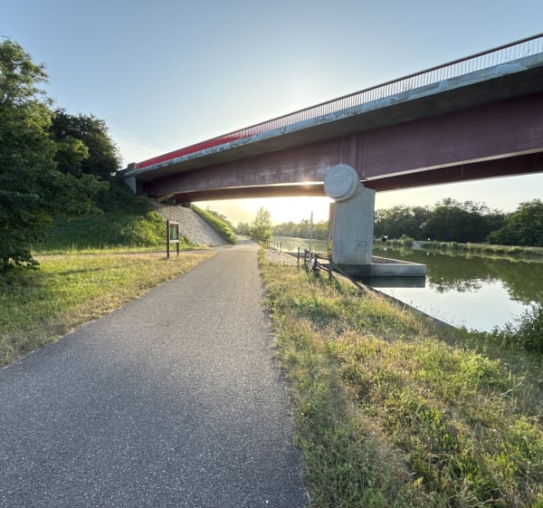 Boucle Habsheim - Rixheim par la piste du canal du Rhône au Rhin - Habsheim - 1