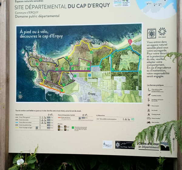 Entre mer et bois et îlot Saint-Michel - Erquy - 1