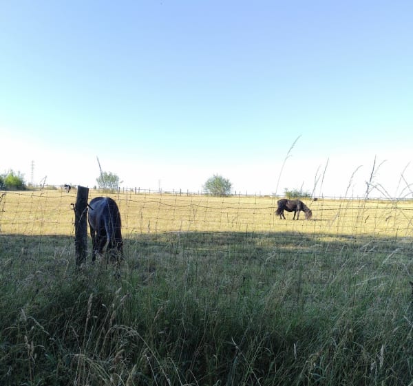 Randonnée à Droue-sur-Drouette - Droue-sur-Drouette - 1