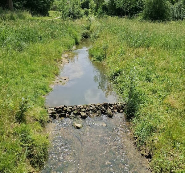 Boucle des Bords de Marne - Jean Pierre - 1