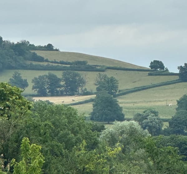 Entre château et collégiale depuis Trévilly - Christophe - 1