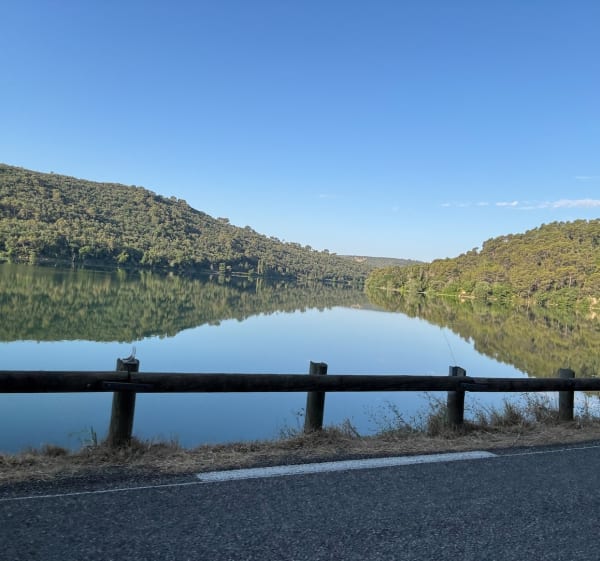 Autour du lac de Carcès - Olivier - 1
