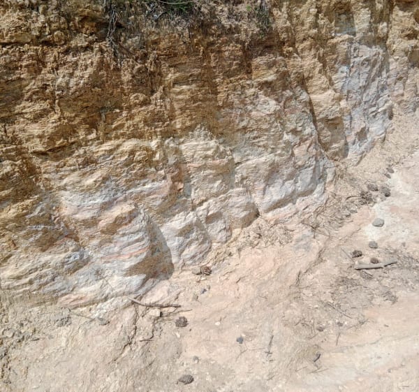 Dalle des Ammonites depuis le Géoparc - Cédric - 1