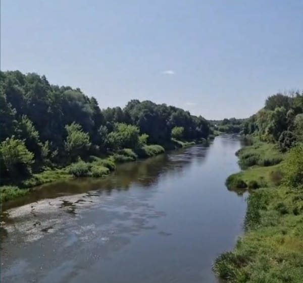 Piatkowo-Biedusko-Owinska-Piątkowo - Jarek - 1