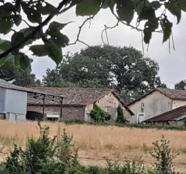 Rejoindre la voie romaine depuis Champagné-Saint-Hilaire - Champagné-Saint-Hilaire - 1
