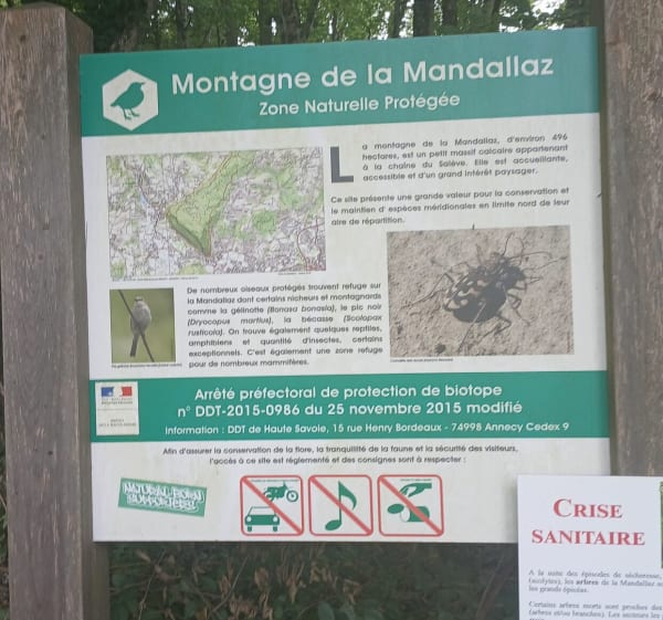 Mandallaz Ramesse - VAL - 1