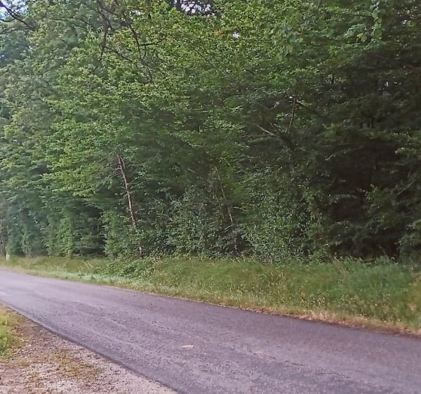 Autour de Bouges le château - Bruno - 1