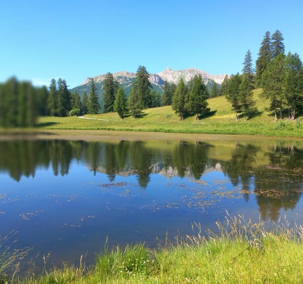 Lac de Roue à Château Ville Vieille - Laurent - 1