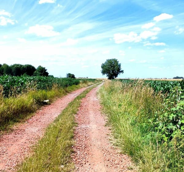 Gravel  – PAŁACE, MAUZOLEA, ŁOWISKA I KĄPIELISKA - Eleonora - 1
