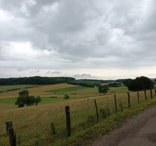 Promenade autour du village de La Tour-de-Sçay - CATHERINE - 1