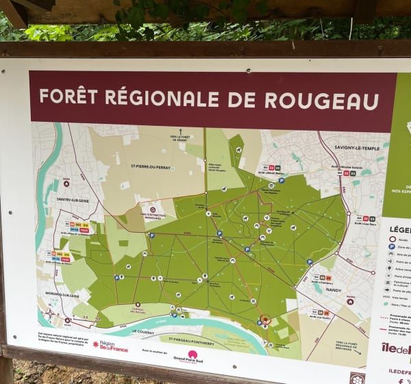 Savigny, Nandy, forêt de Rougeau - NATHALIE - 1