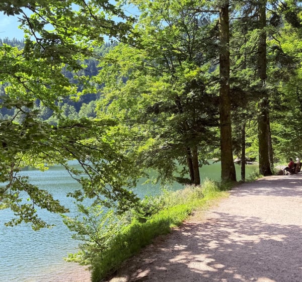 Lac des Corbeaux autour de La Bresse - Francis - 1