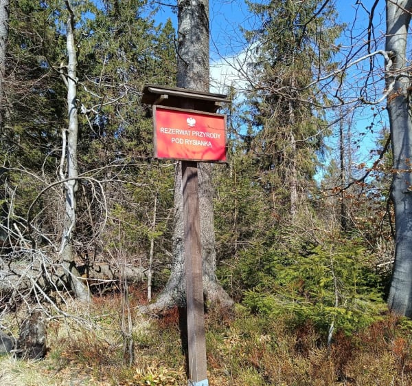 Wejście na Rysianke - Vita - 1
