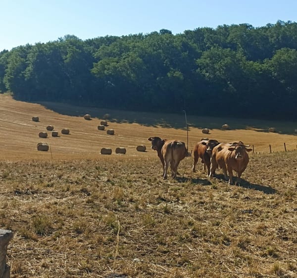 Tour depuis Le Lardin - Mathilde - 1