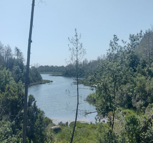 Etang d'Urbinu à la Pinia en Corse - Lydie - 1