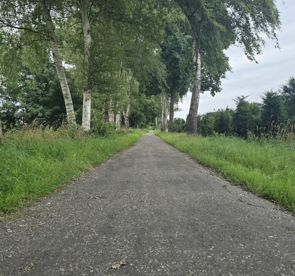 Wandelen op het Nederlandse platteland - Clément - 1