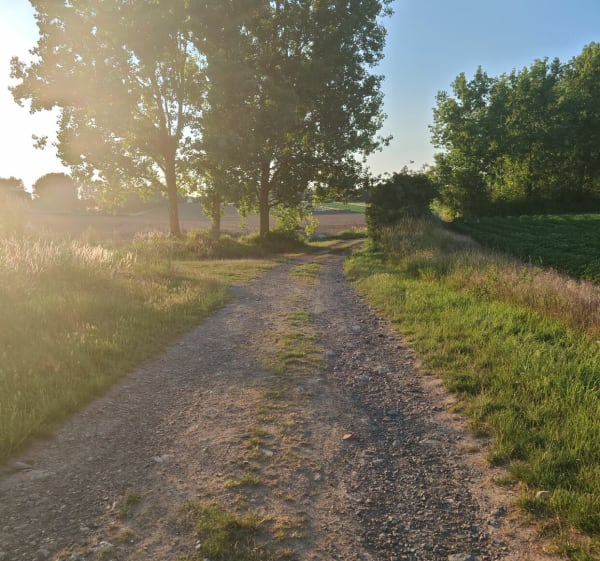 Petite balade Noyelles sur Escaut Cantaing - Noyelles-sur-Escaut - 1