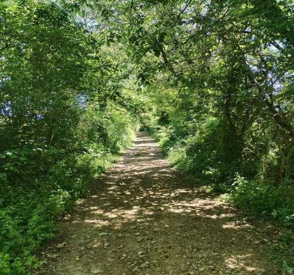 Montcalivert par la cité de Saint-Lizier - Nicolas - 1