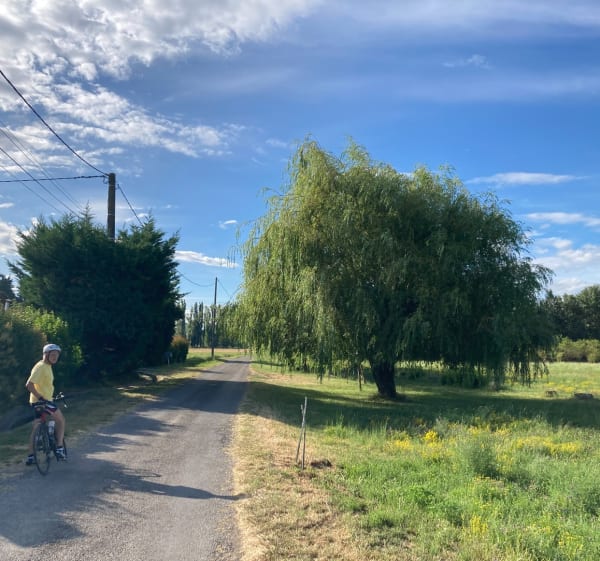 Pertuis à Lauris, une balade sur le plat - Martin - 1