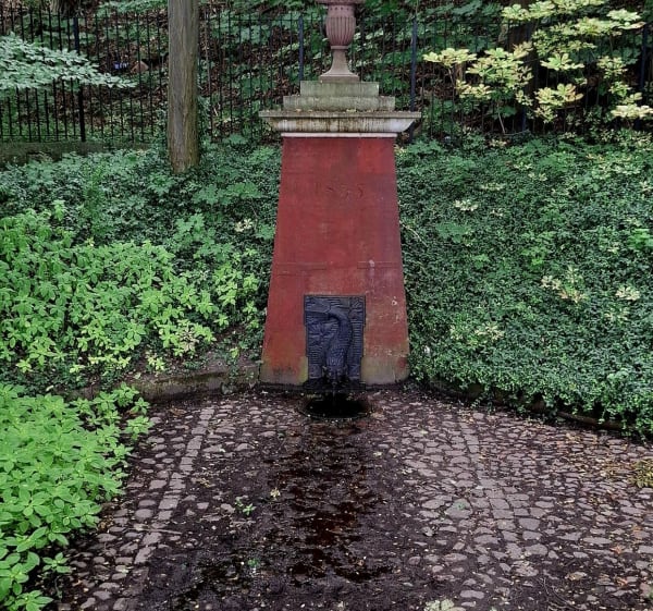 Targówek, Lasek Bielański, Kampinoska Dolina Wisły - Warszawa - 1