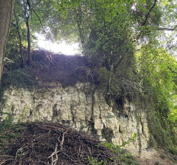 La randonnée de Mésangueville - Norman - 1