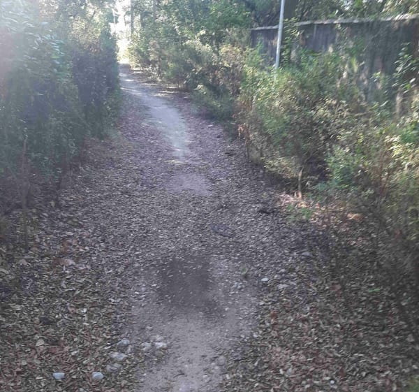 Balade tranquille à vélo, par Baillargues, Mauguio et Le Crès - THIERRY - 1