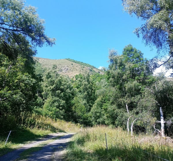 Moulin du Burdin et le Bettex - Victoria - 1