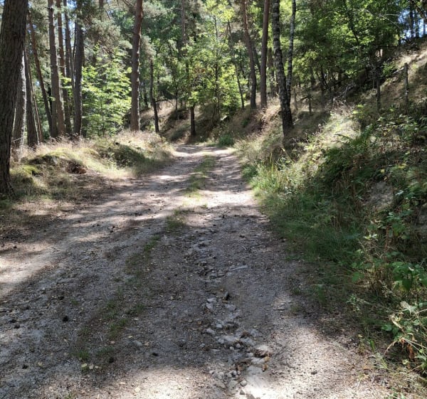 Grand tour de La Bessière - Peyre en Aubrac - 1