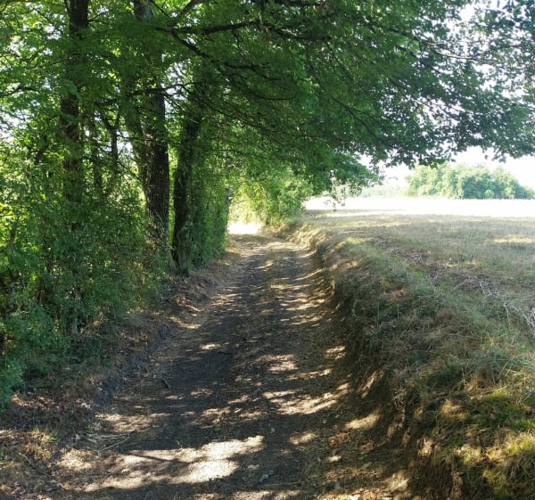 Balade au milieu de la nature - Thierry - 1