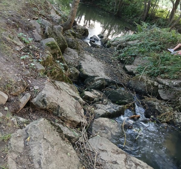 Balade autour de Vincelles et Chalot - Alexis - 1