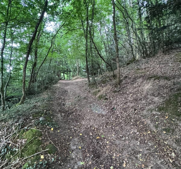 Boucle du bois de Brénil - Pierre - 1
