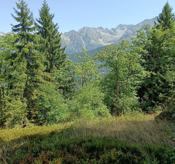 Lac des Tavernes depuis la vallée du Haut Breda - Le Haut-Bréda - 1