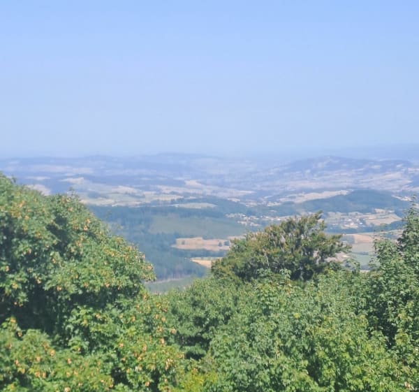 La Croix d'Amanze - Les Ardillats - 1