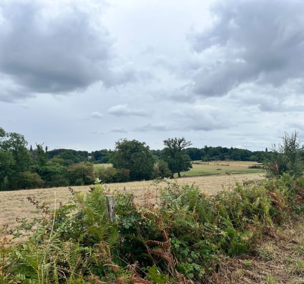 Busserolles et Saint-Sornin-Leulac - Lionel - 1