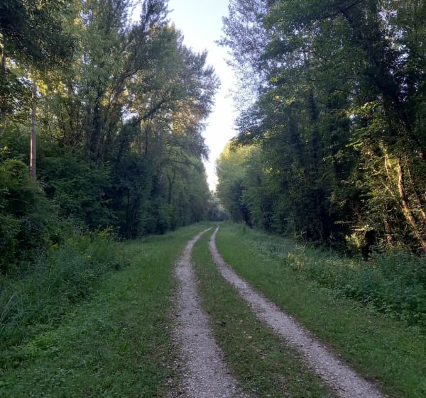 Entre 2 ponts, de Groslée et d'Evieu - Anne - 1