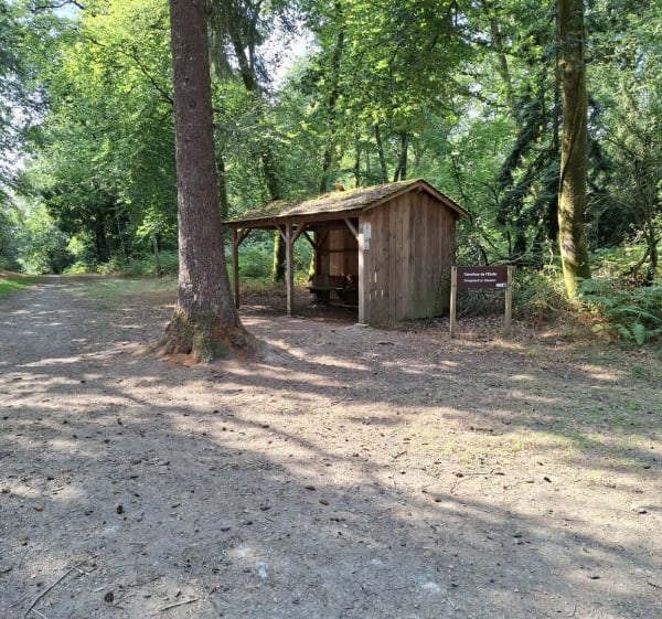 Sentier Facile à Lanrodec - Lanrodec - 1