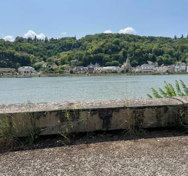 Forêt et bord de Seine - Jean-Michel - 1