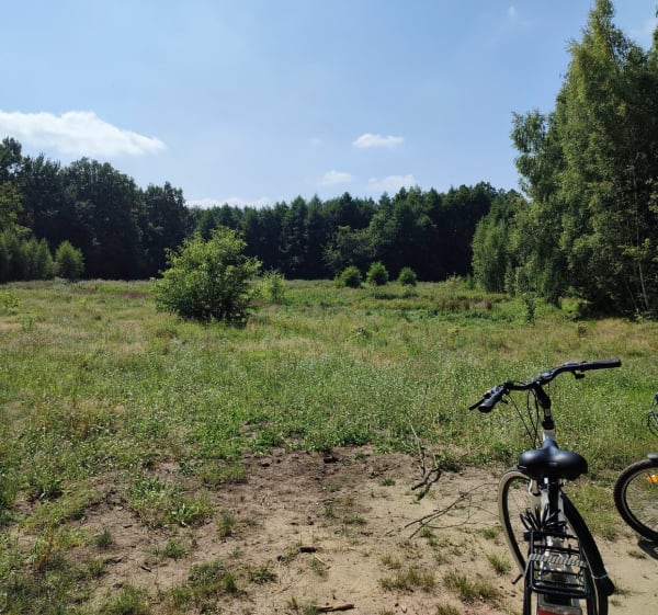 Pętla po Lasku Marcelińskim - Poznań - 1