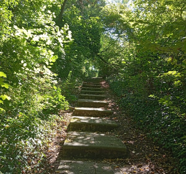 Boucle du Parc la vallée. - Mantes-la-Ville - 1