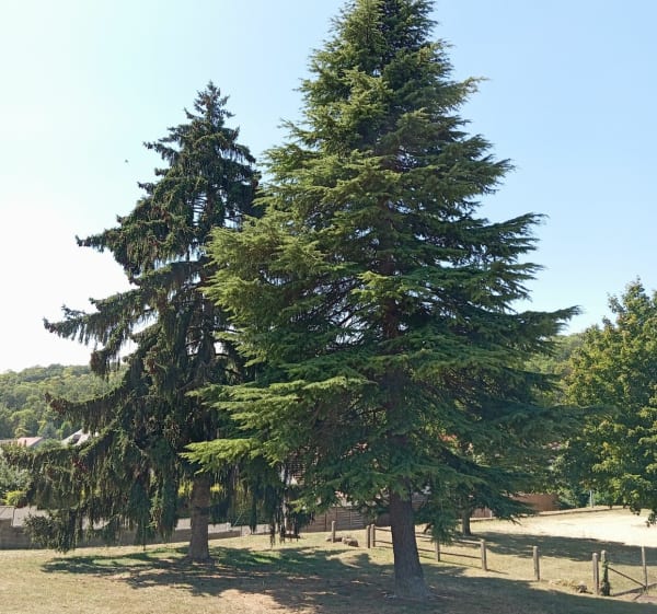 Boucle du Parc la vallée. - Mustapha - 1