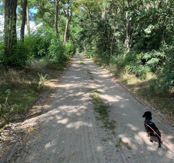 Z Dopiewa na Owocową Plażę - Dopiewo - 1